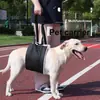 Nuevo Arnés de Soporte para Mascotas para Perros Mayores, Perros con Discapacidad, Correa para Caminar para Rehabilitación