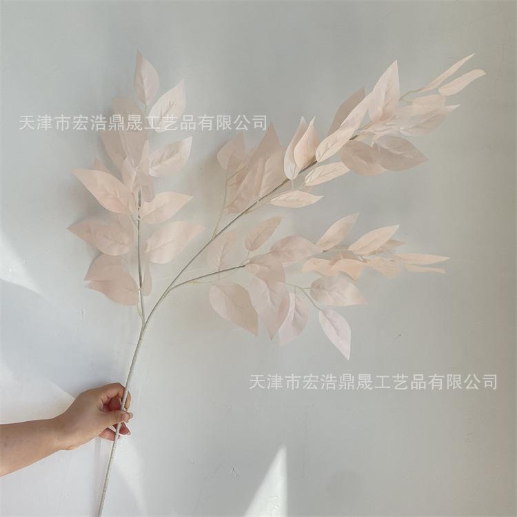 微信图片_202209021633352