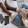 Fabricante de Meias Femininas Estilo Japonês Meia de Cano Médio Algodão Outono e Inverno Novas Absorventes de Suor Meias Longas Casuais Versáteis Primavera e Outono Esportes