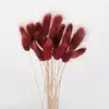 Comércio eletrônico transfronteiriço comércio exterior Amazon cor flor seca rabo de coelho grama atacado diy pequeno buquê vaso buquê