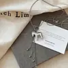 Colar com Pingente de Pônei Prata Simples e Versátil para Mulheres, Acessório de Corrente Longa para Suéter de Nicho de Luxo