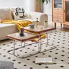 Mesa de Centro de Segunda Mano para Sala de Estar, Juego de Mesas de Té para Apartamento Pequeño, Estilo Ins Moderno Tendencia Lujo Ligero Ratán Simple Acero Inoxidable