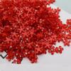 Al por mayor resina florete gypsophila flor de cinco pétalos funda para teléfono móvil accesorios de joyería DIY arte de uñas material de diamante engastado a mano