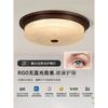 Nueva Lámpara de Techo China Lámpara de Pasillo Americana Puerta de Cristal Pasillo Dormitorio Balcón Exterior Inducción Exterior Lámpara de Jardín
