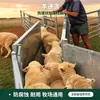 Este paso para ovejas está diseñado específicamente para la cuarentena y agrupación de ovejas, lo que facilita la separación de diferentes rebaños.. Está hecho de material engrosado y es fácil de operar