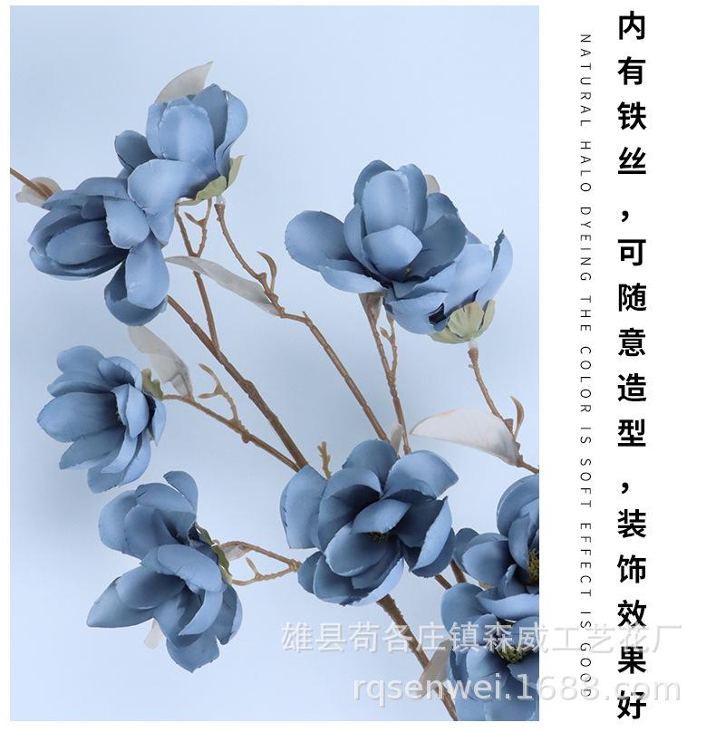 玉兰花_07.jpg