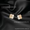 Japonês e coreano requintado micro incrustado zircão concha flor brincos feminino fresco doce nicho design moda brincos