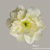 Flores Artificiales Champagne, Rosas y Hortensias Realistas de Alta Gama, Venta al por Mayor para Decoración de Bodas, Materiales DIY para Arte Floral