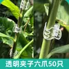 5 Hastes de Suporte para Plantas para Orquídeas, Proteção de Folhas, Monstera, Caladium, Estrutura de Suporte para Jardinagem, Fixação Antiderrapante para Flores