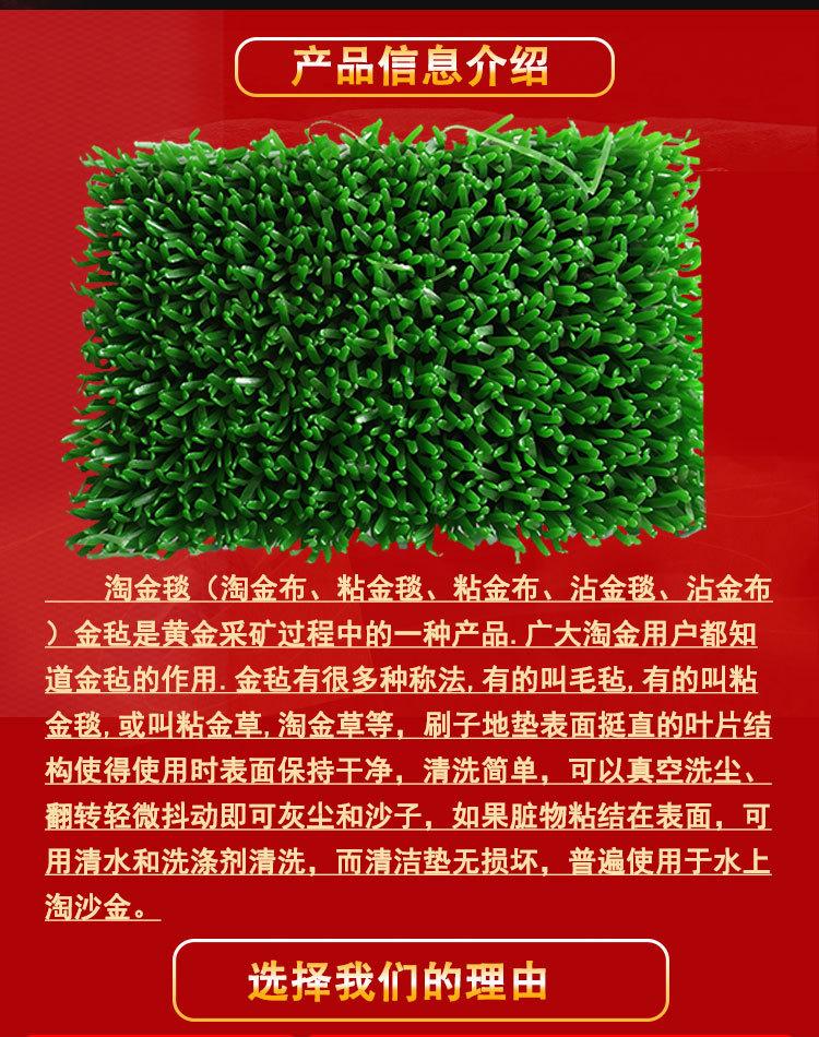 粘金草 (2)
