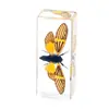 Especímenes de Insectos de Resina Real: Insectos Reales, Escarabajos, Arañas, Ciervos Voladores, Escarabajos Rinoceronte, Escorpiones, Ciempiés, Cangrejos, Mantis Religiosas, Adornos de Especímenes