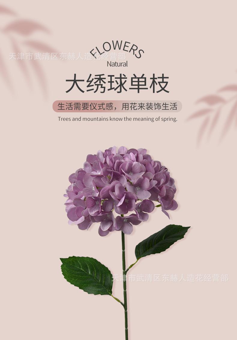 详情_01.png