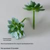 Suculentas Artificiais Cuidadosamente Selecionadas, Decorações de Plantas Verdes, Combinação de Mini Enfeites de Cactos, Bonsai de Suculentas em Vaso