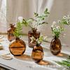 Juego de Mini Jarrones de Vidrio Amazon Flores Hidropónicas Creativo Recipiente para Arreglos Florales de Escritorio Adornos Decorativos Venta al por Mayor