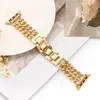 Cadena de mezclilla de doble fila Apple correa de metal para Apple Watch 8/7/6/5/4/321 aleación acero inoxidable