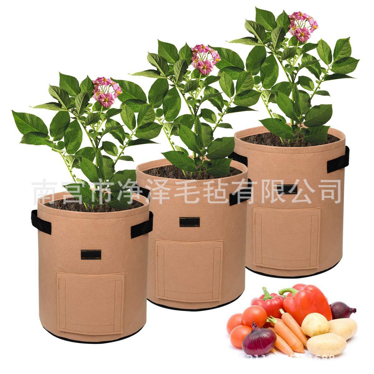 71y6bEGdifL._SL1200_