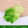 Modelo de Raiz de Lótus Simulação Fatias de Raiz de Lótus Vagem de Semente de Lótus Armário de Churrasco Vegetal Decoração de Fazenda Adereço para Fotografia Acessórios de Cabelo DIY Brinquedo