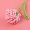 Ramo de Claveles Tejidos a Crochet de Lana Terminados Transfronterizos Flor Artificial Hecha a Mano Flor Tejida Día de la Madre Pequeño