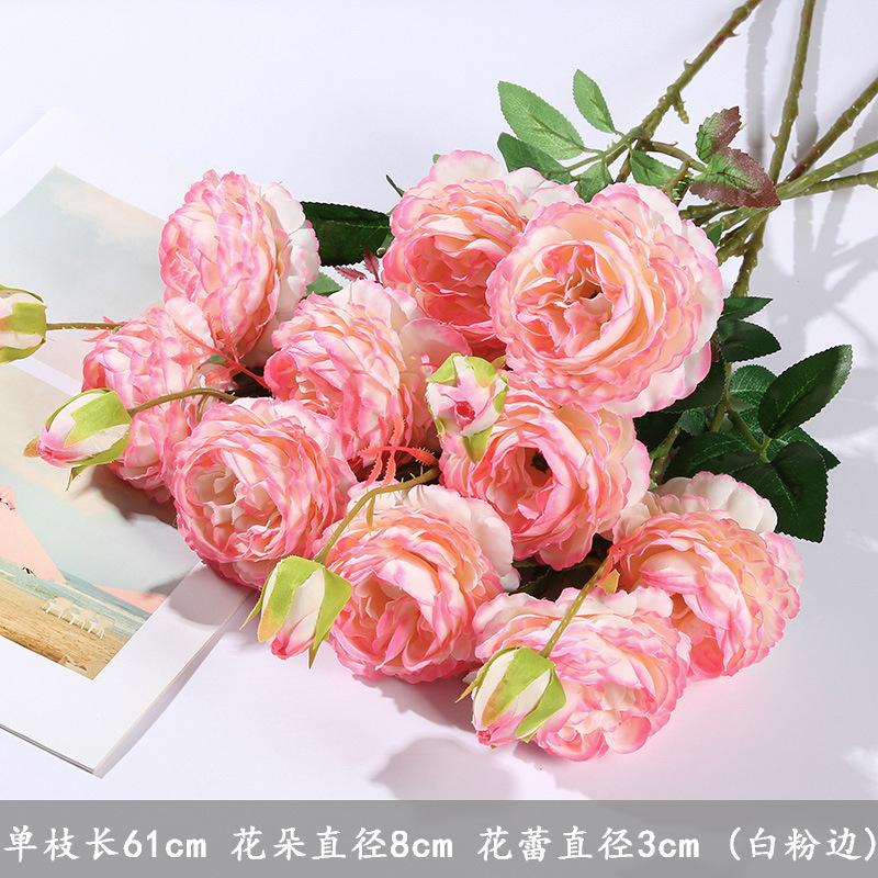 边粉5支.jpg