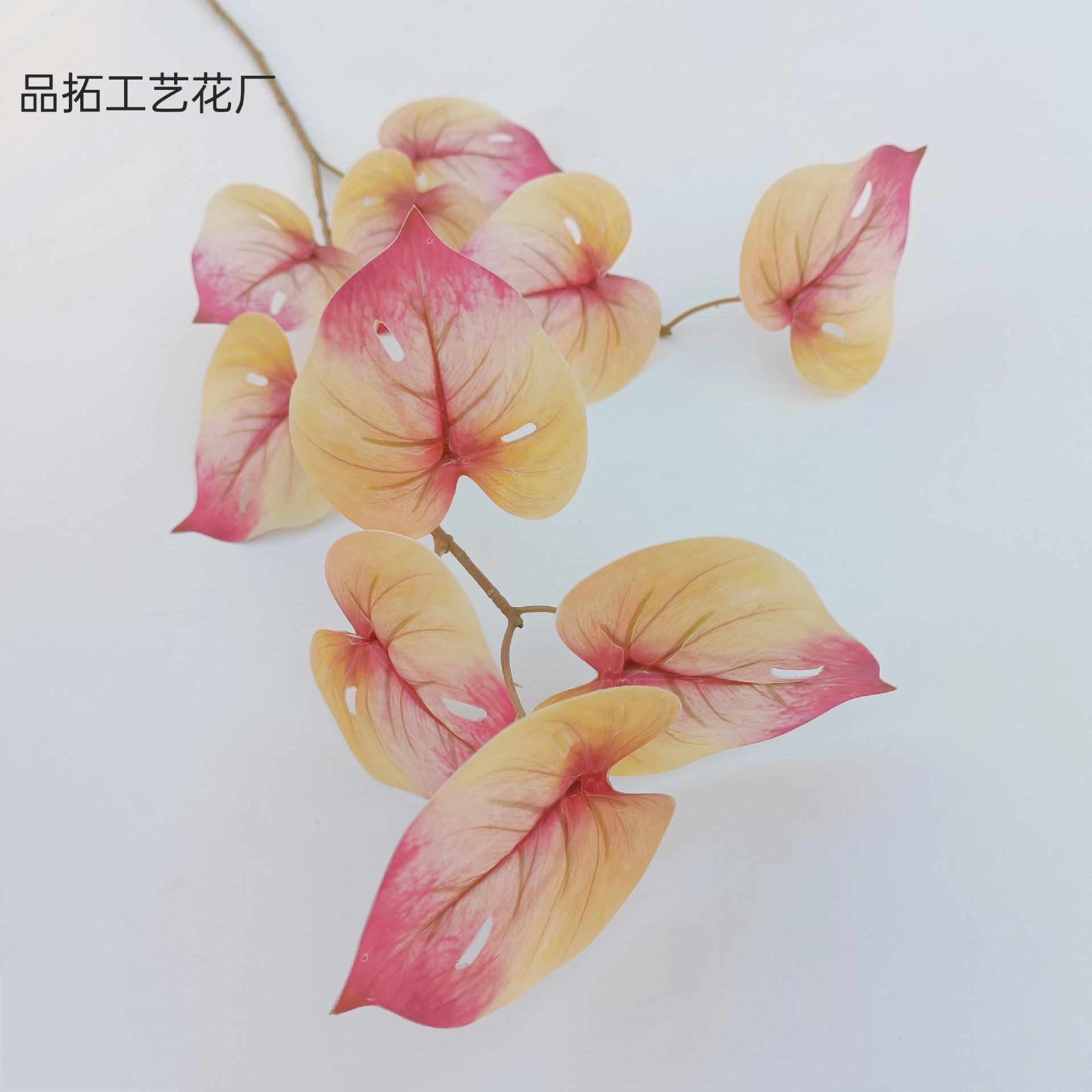 5ab283371c327bec72ed36371c1135