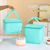 Bolsa Térmica para Pastel de Cumpleaños Gruesa Colorida No Tejida Bolsa de Papel de Aluminio Portátil Logo Empaque de Gran Tamaño Bolsa Térmica
