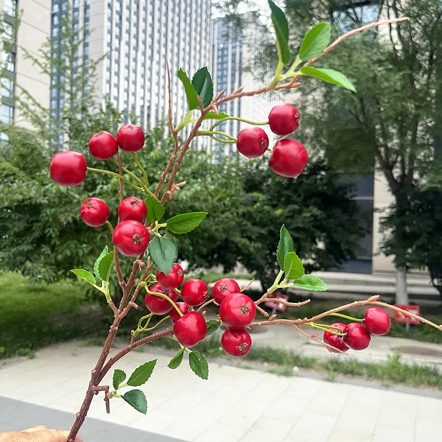 21头小菜果-红色.JPG