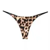 Nova fio dental sexy de tira fina dupla camada cintura baixa biquíni de dupla camada lingerie sexy em T feminina G010