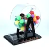 Máquina de Loteria de Propriedade, Seletor de Bolas de Duas Cores, Máquina de Loteria, Caixa de Loteria, Máquina de Loteria, Máquina de Loteria Manual