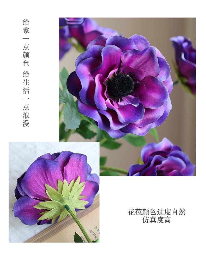 润玉银莲花_07.jpg