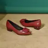 Sapatos femininos confortáveis com fivela quadrada 2026 primavera/outono novo estilo bico fino salto médio grosso versátil sapatos de trabalho de primavera