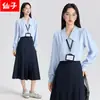 Camisa de Gasa Elegante de Manga Larga Azul, Estilo Nuevo de Primavera y Otoño, Corte Ajustado, para Viajar, Entrevistas, Ropa de Trabajo, Profesional, para Mujer