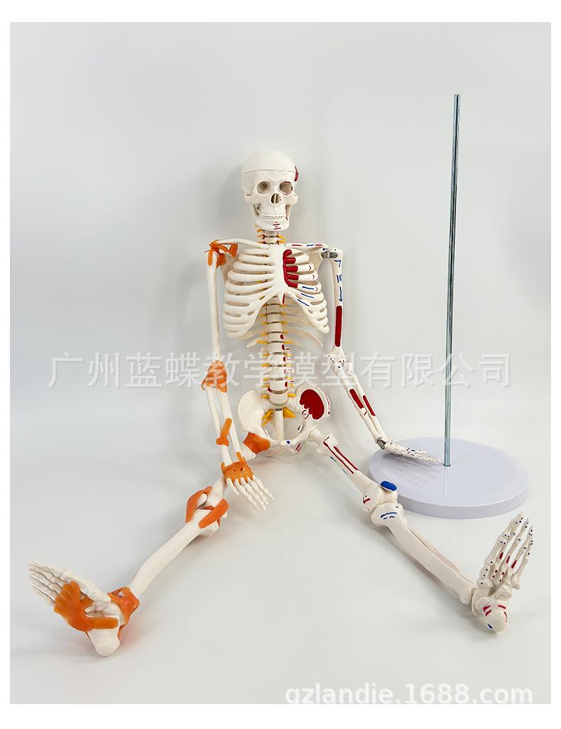 详情_16