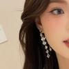 Exquisitos Pendientes Simples de Otoño e Invierno Explosivos de Diamantes Plateados de TikTok con Sentido del Diseño Nicho Lujo Ligero Sentido Avanzado Pendientes de Borla