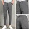 Pantalones de hombre de alta gama para primavera y otoño, pantalones cropped para adolescentes, pantalones casuales versátiles de corte recto slim-fit, modernos, profesionales