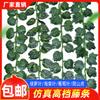 Artesanato Rattan Planta Rattan Simulação Folha Verde Decorativo Rattan Atacado Trepadeira Ivy Planta Parede