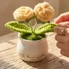Rosas Bolha de Crochê Feitas à Mão, Plantas Pequenas de Tricô em Vasos, Flores Artificiais, Enfeites de Flores Eternas, Presentes de Feriado, Atacado Transfronteiriço