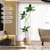 Planta Artificial Verde Black Diamond con un Toque de Lujo para Decoración de Sala de Estar, Planta de Interior Grande en Maceta, Árbol Falso, Planta Biomimética