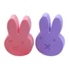 Bloque de Esponja de Maquillaje con Forma de Cabeza de Conejo Hecho a Medida de Fábrica, Polvera de Forma Especial, Súper Suave, No Absorbe Polvo, Se Puede Usar Tanto Seco como Húmedo, Se Puede Imprimir con Logo