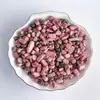Fragmentos de Cristal Natural de Rodocrosita Piedra Pulida Botella de los Deseos Fuente de Jardín Decoración en Maceta Fabricación de Joyería
