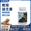 Xin Daming Probióticos para Reptiles Ayuda Digestiva para Lagartos Bacterias Activas Probióticos para Tortugas Electrolitos 40g Fabricante