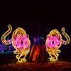 Varios Arte Considerando Combinación Festival de Luces Paisajísticas 12 Zodíaco Cerdo del Tesoro Luz LED Luz con Forma de Animal
