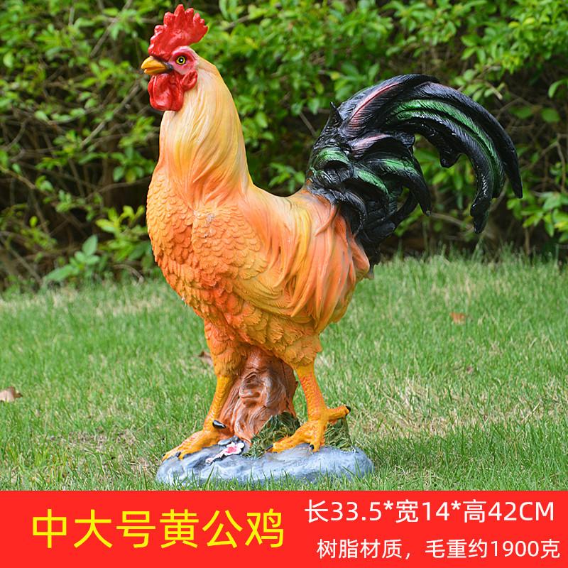 中大号黄公鸡