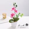 Flor Artificial Textura Tipo Filme Phalaenopsis Pequena Planta Vaso Decoração de Casa Adereços para Fotografia Flor Artificial Planta Verde Bonsai Flor Simulada