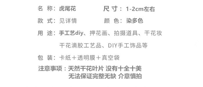 虎尾花.png
