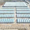 Estufas Multiclimáticas Cobertas com Filme para Plantio de Uvas, Estufas para Cultivo Atrasado Protegidas da Chuva, Soluções e Construção de Estufas Ecológicas para Pomares