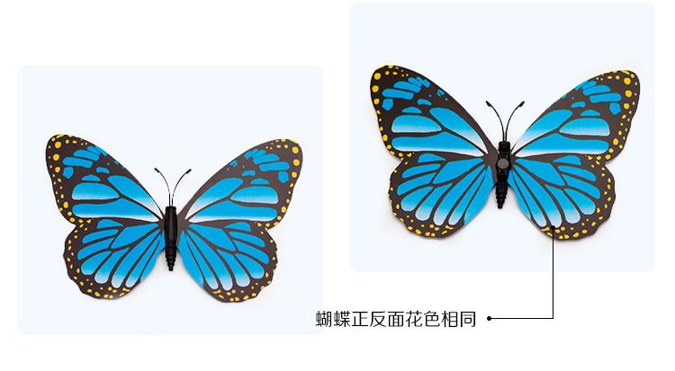 PT16公分-详情_11.jpg