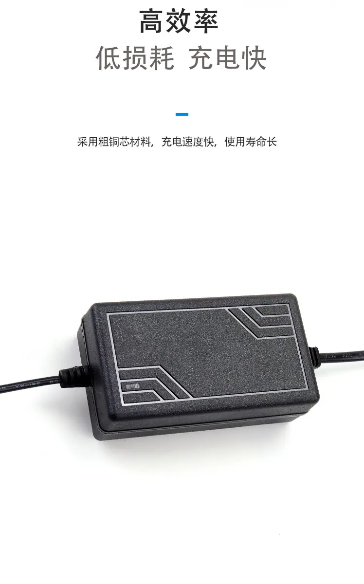 网型双线12V2A_08