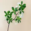 Flores, Decoraciones de Flores Artificiales, Plantas Verdes Biónicas, Plantas Falsas, Plantas en Maceta, Decoraciones para Mesa de Comedor de Sala de Estar Interior, Decoraciones Florales