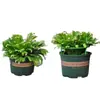 Soporte para Flores para Uso en Interiores en Casa, Tipo Universal para Flores Pinza de Cangrejo, Soporte para Hoja de Loto, Maceta de Jardinería, Repelente de Pájaros para el Hogar