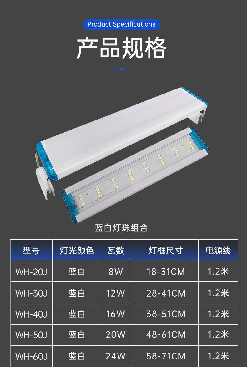 LEDdeng_07.jpg